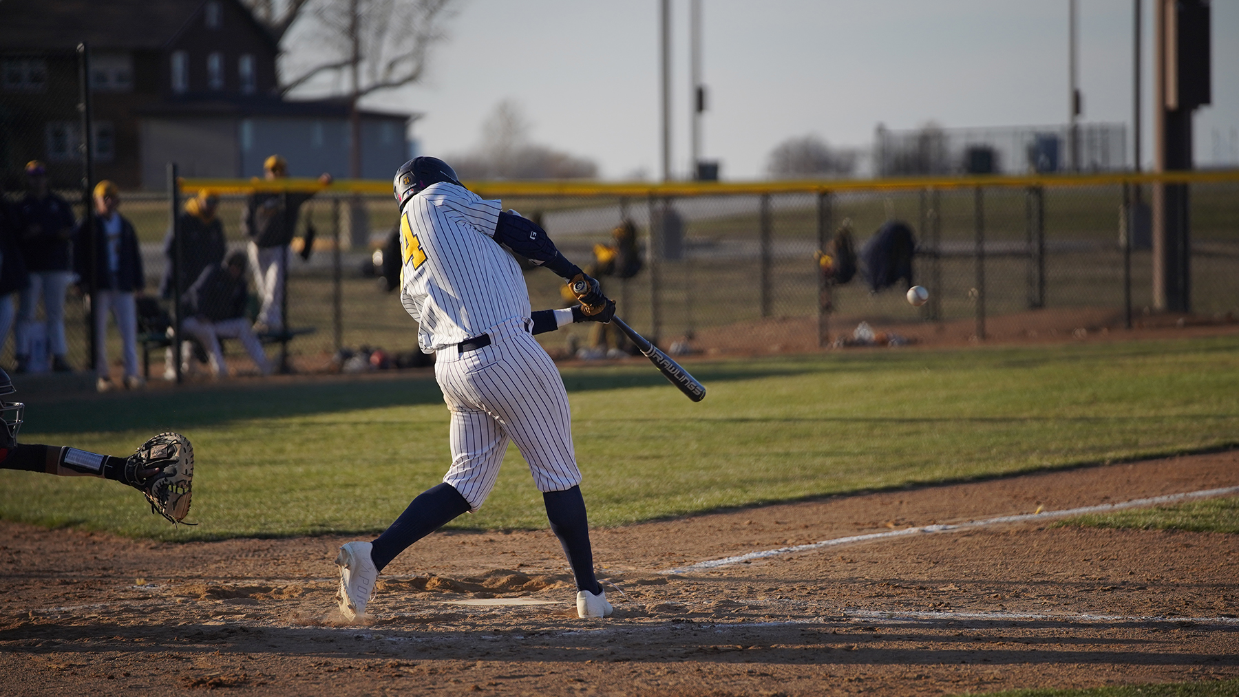 School Records Broken as Statesmen Split Four-Game Set with Yellowjackets