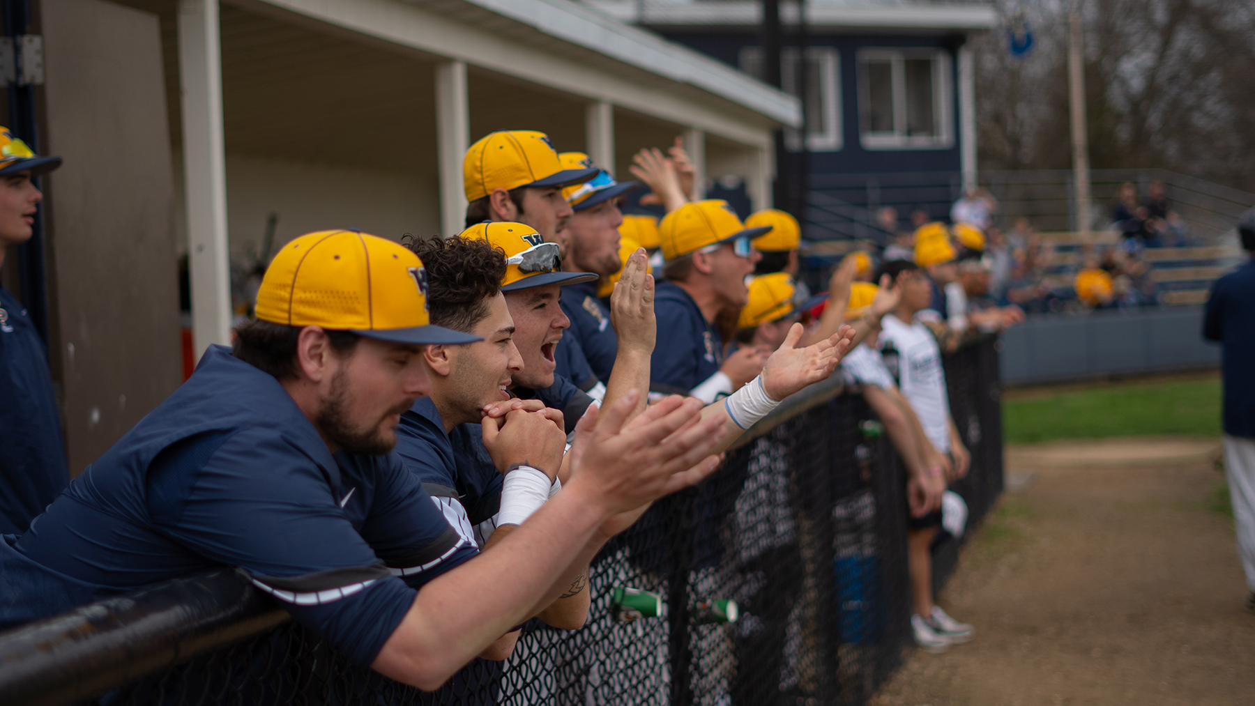 2023 Baseball Season Preview
