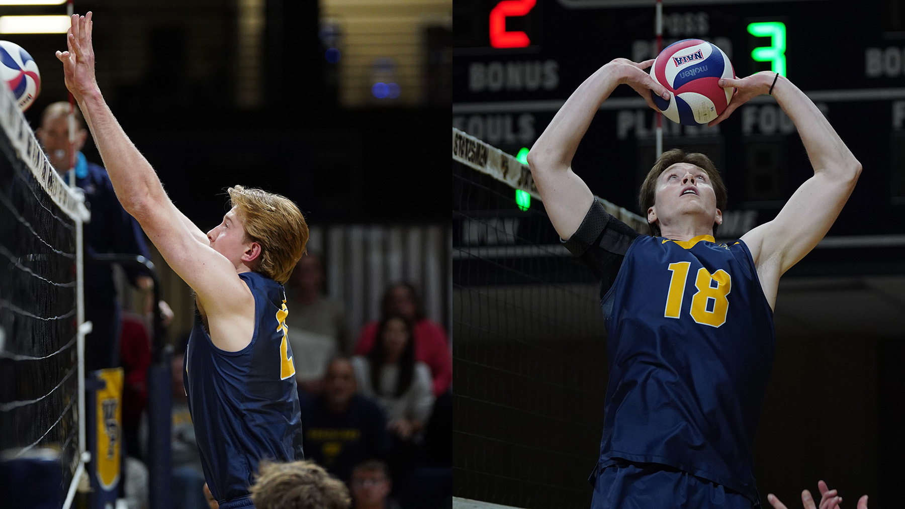 Beallis, Zell Take Player of the Week Awards